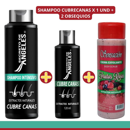 Shampoo cubre canas