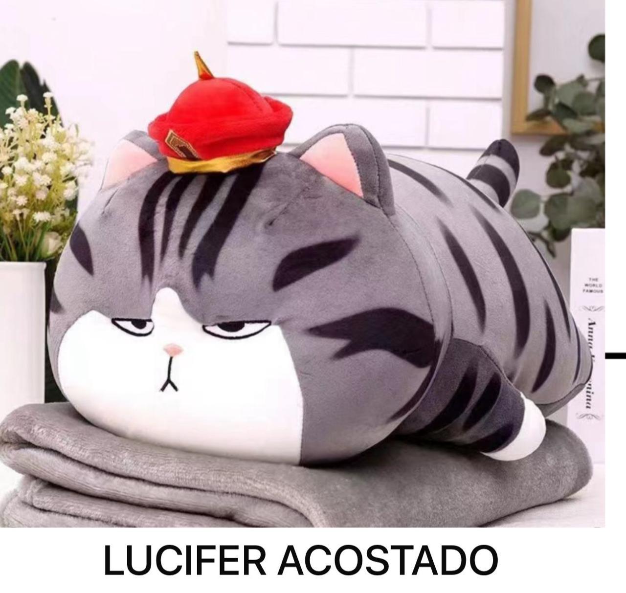 PELUCHE + COBIJA NUEVA COLECCION
