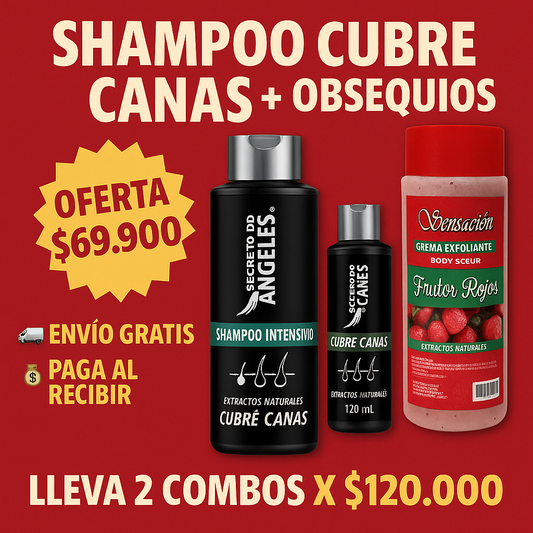 Shampoo cubre canas